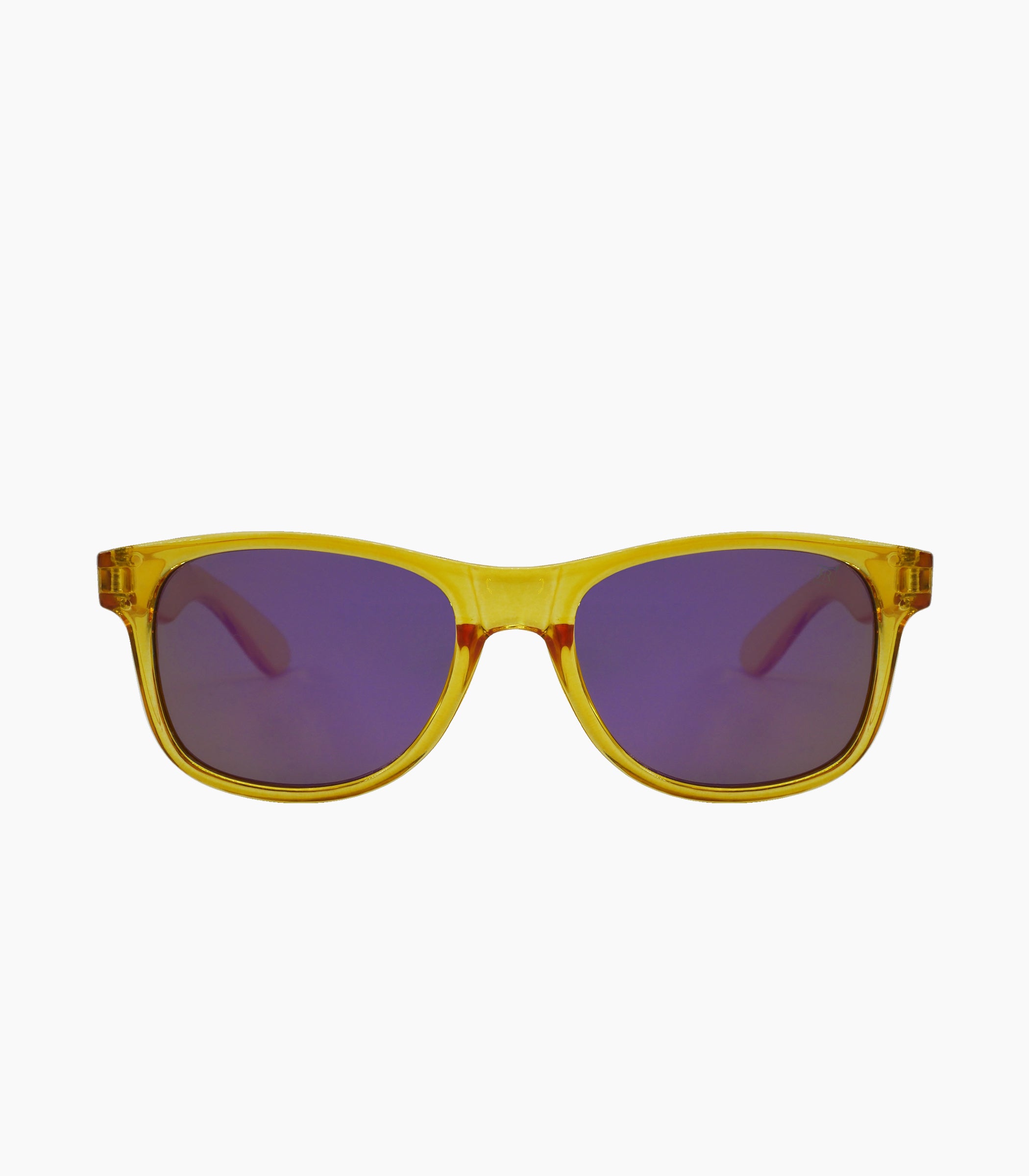 Wayfarer Sunglasses Kids - Robin Ruth